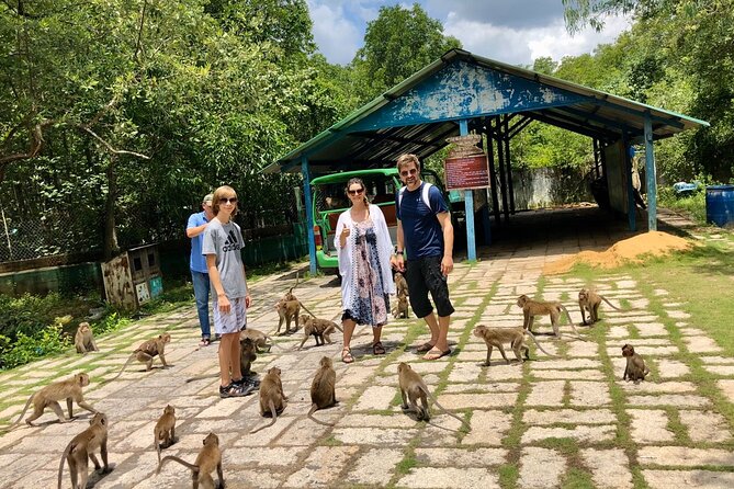 1-Day Can Gio Island-Mangrove Biosphere Reserve-Trekking - Monkey Island and the 2 km Trek Into the Mangroves