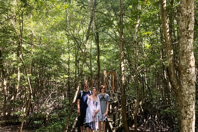 1-Day Can Gio Island-Mangrove Biosphere Reserve-Trekking - Crocodile Camp and Wildlife Chances (What to Expect, Without Guarantees)