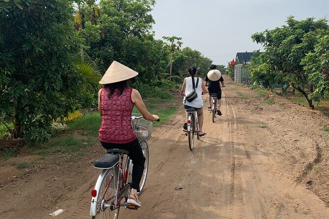 1-Day Explore Non-Touristy Side Of Mekong Delta- Group 10 Max - Ben Tre Stop: Organic Longan Garden, House Promenade, and Home Tea