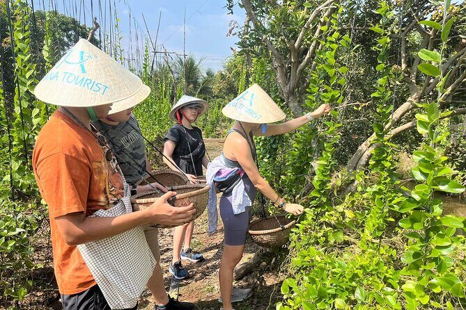 1-Day Explore Non-Touristy Side Of Mekong Delta- Group 10 Max - Sampan Rowing Under Nipa Palms: Slower Water, Better Photos