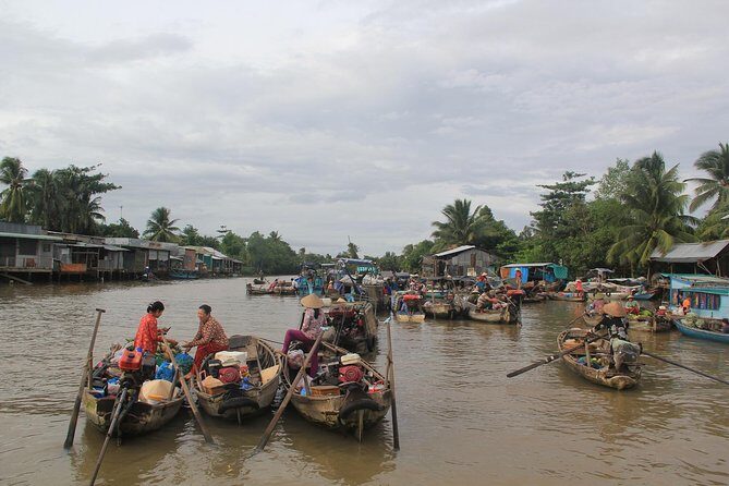 1-day Mekong Delta Tour: Cai Be Market, Local Island and Cycling - Who should book this Cai Be tour (and who should consider alternatives)