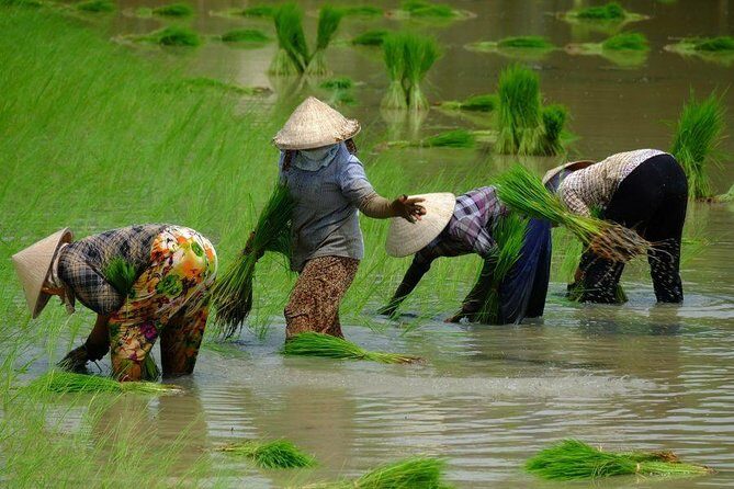 2-Day Mekong Delta and Floating Markets Private Tour - Day 1: Cai Be Pier and the Vinh Long canal feel