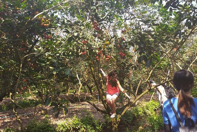 2-Day Mekong Delta with Cai Cang Floating Market from HCM City - Price and Logistics: How $245 Fits the Real Value