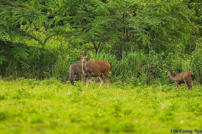 2-Day Trekking & Biking Nam Cat Tien National Park from HCM City - What the Cycling and Trekking Actually Mean for You