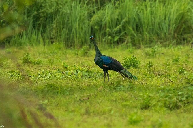 2-Day Trekking & Biking Nam Cat Tien National Park from HCM City - Should You Book This 2-Day Trekking and Biking Cat Tien Tour?
