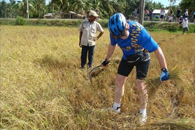3 Days Cycling Mekong Delta - Should You Book This 3-Day Mekong Delta Bike Trip?