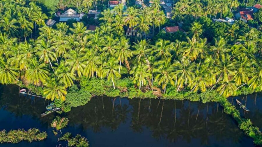 3 DAYS MEKONG DELTA - Meals and food comfort: local taste is part of the package