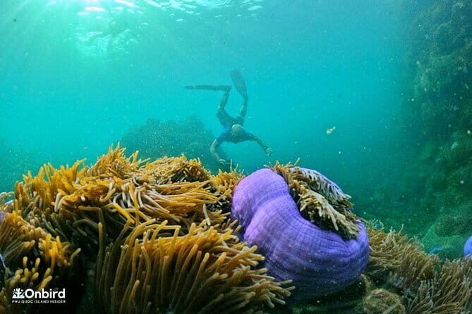 4 Islands & 2 Reefs - Discovery Snorkeling & Relaxing (MAX 12) - Key points to know before you go