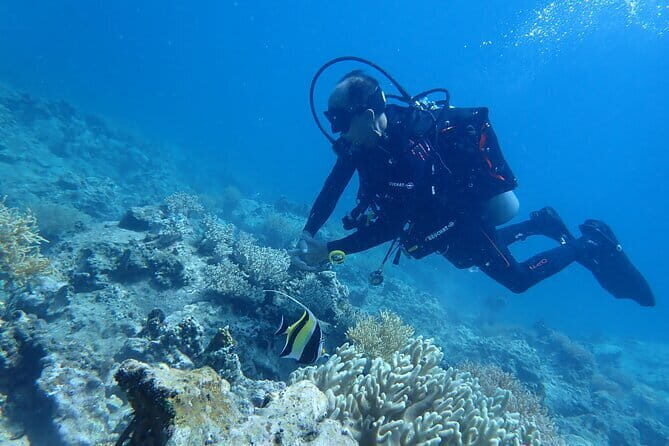 4 Islands & 2 Reefs - Discovery Snorkeling & Relaxing (MAX 12) - The “four islands” part: why those short stops are worth it