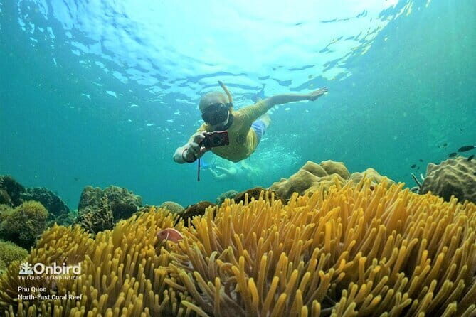 4 Islands & 2 Reefs - Discovery Snorkeling & Relaxing (MAX 12) - Price and value: is $52.04 a good deal for Phu Quoc snorkeling?