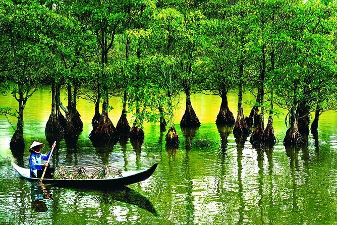 5-Day Best of Southern Vietnam: Cu Chi Tunnels & Mekong Delta - Logistics and Comfort: the parts that affect your day-to-day