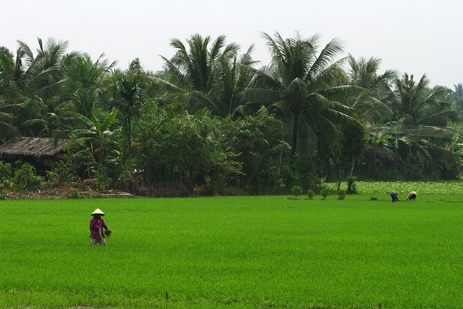 Adventure Cu Chi Tunnels and Mekong Delta Tour From HCM - My Tho and the Mekong Delta: Islands, Canals, and Daily Life on the Water