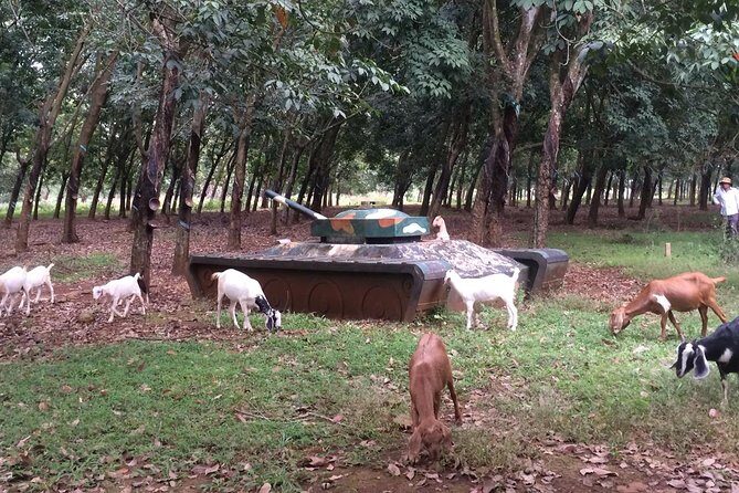 Australian Base, Long Tan & Nui Dat Tour with Vung Tau Beach - Price and value: is $155 a fair deal?