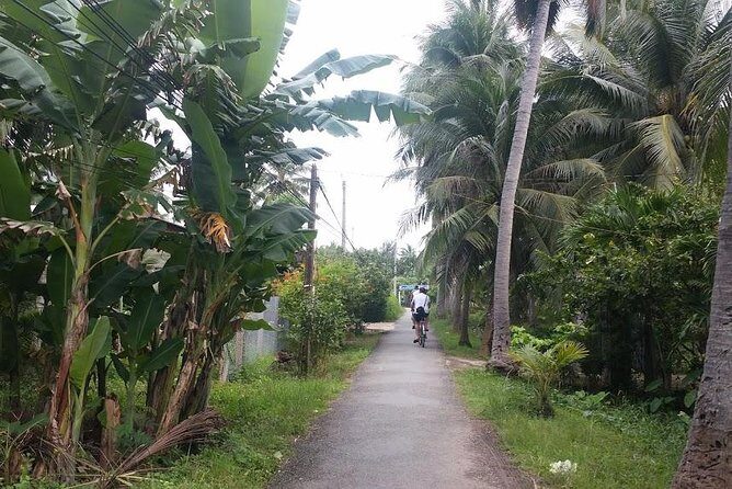Authentic 'Non-Touristy' Mekong Delta Ben Tre 1 Day Private Tour - Bikes in Ben Tre: a low-key way to see the region up close