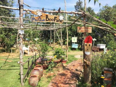 Best Seller Northern Phu Quoc & Kayak Aventure with lunch - Bee Farm honey tasting: a small stop with real context