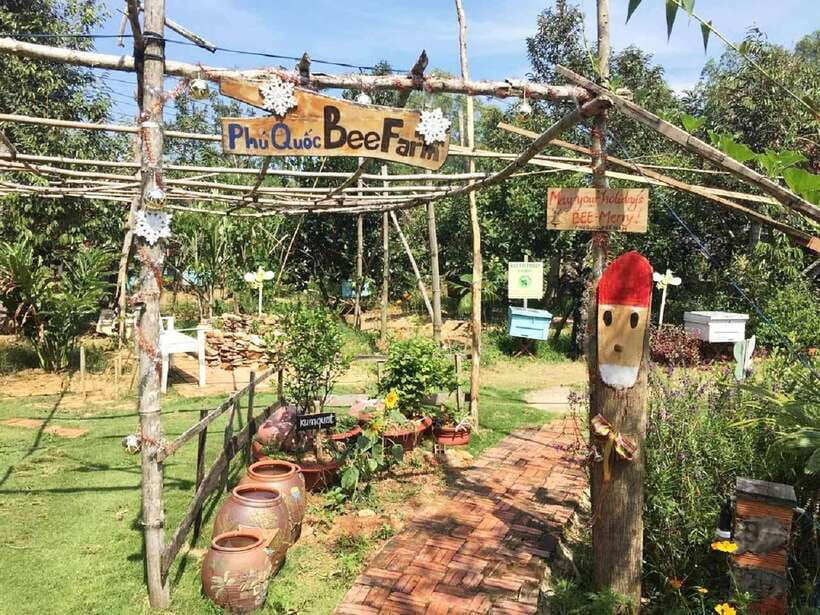 Best Seller Northern Phu Quoc & Kayak Aventure with lunch - Bee Farm honey tasting: a small stop with real context