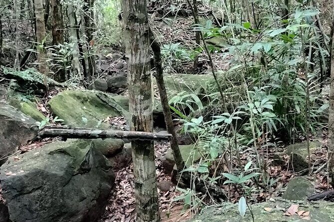 Best Trekking Tour In Phu Quoc (Đa Ngon Waterfall) - Reaching Thác Đá Ngọn: what the waterfall payoff feels like