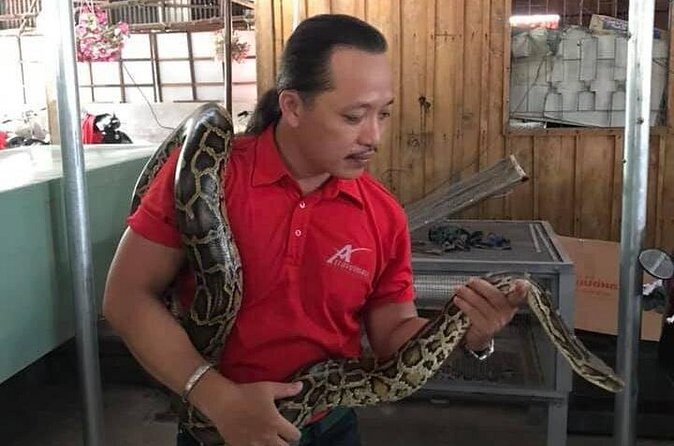 Cai Be Vinh Long & Cooking Class 1 Day Private Tour - The pacing: a full day with a lot of moving parts