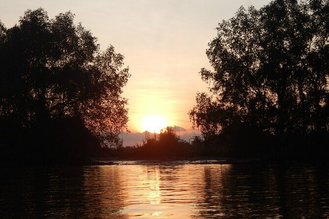 Cai Rang floating market, see sunrise, CaCao orchard, small canal - Phong Điền canals: the quieter water after the market