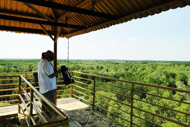 Can Gio Mangrove Eco And Wildlife Discovery Tour - Crocodile Swamp: Fearsome Facts Without the Jump Scare