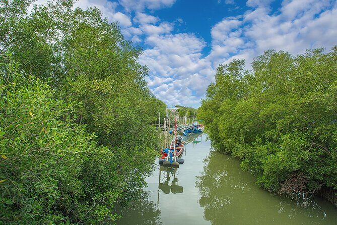 Can Gio Mangrove Forest 1 day tour - Morning Pickup and the HCMC-to-Can Gio Time Squeeze