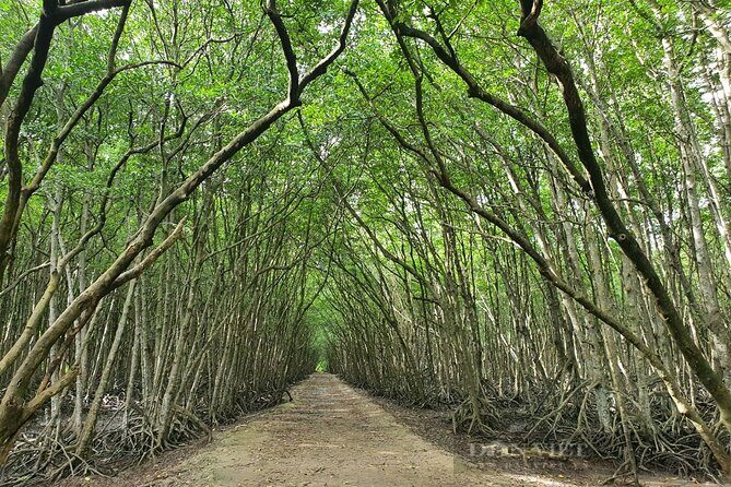 Can Gio Mangrove Forest 1 day tour - Lunch at a Local Restaurant: Good Food, Local Pace
