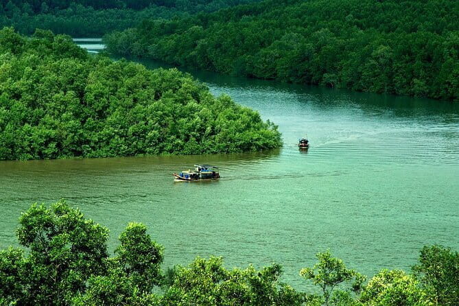 Can Gio Mangrove Forest Island Private Tour From Ho Chi Minh City - Key highlights to plan around