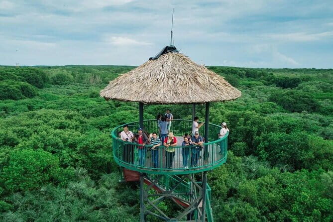 Can Gio Mangrove Forest Island Private Tour From Ho Chi Minh City - Should you book this private Can Gio mangrove tour?