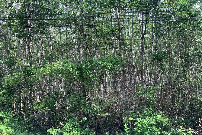 Can Gio Mangroves - Monkey Island by Motorbike and Scooter - What $65 buys: guides, helmets, ferry day, and included tickets