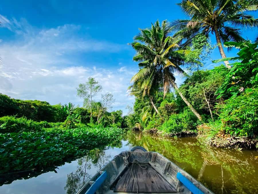 Can Tho: A Real Mekong Tour, Floating Market, Cacao & Life's - Organic cacao farm and the Mr. Cacao explanation