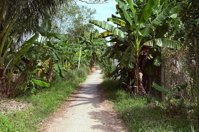 Can Tho Countryside Bike Tour with Fruit Garden Visit - Stop 1 at Vườn Sinh Thái Ba Láng: fruit tasting as a warm welcome