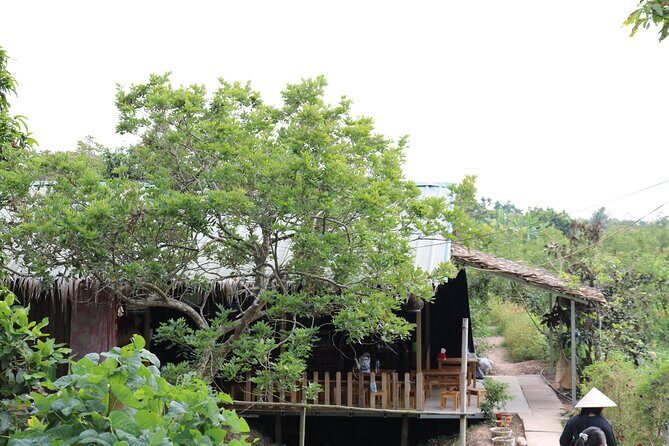 Can Tho day tour: fruit garden&floating fish farm in Son islet - Floating fish farm and sunset on the Mekong: the end you came for