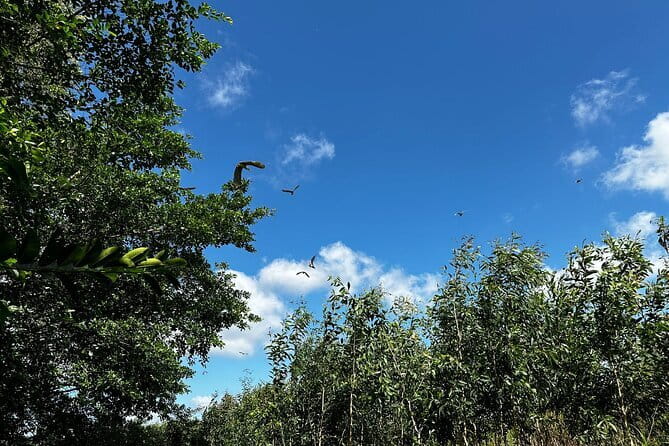 Can Tho: Explore Craft Village & Lung Ngoc Hoang Nature Reserve - Lung Ngọc Hoàng and Ngã Bảy: a Can Tho day with real texture