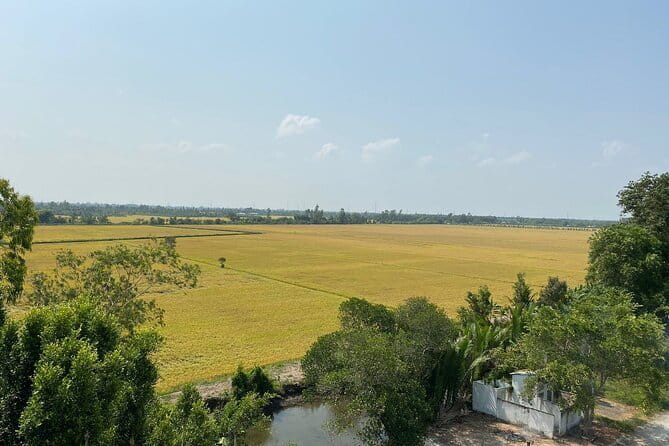 Can Tho: Explore Craft Village & Lung Ngoc Hoang Nature Reserve - Getting there from Cần Thơ: why the drive is part of the deal