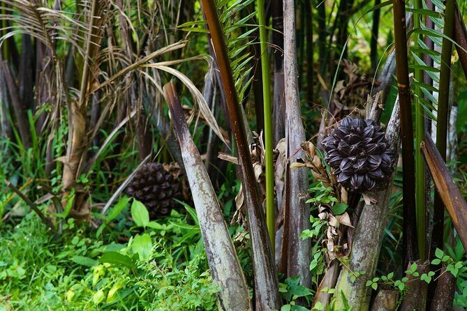 Can Tho Floating Market and Fruit Garden Tour - Price and Value: What $55.28 Actually Buys You
