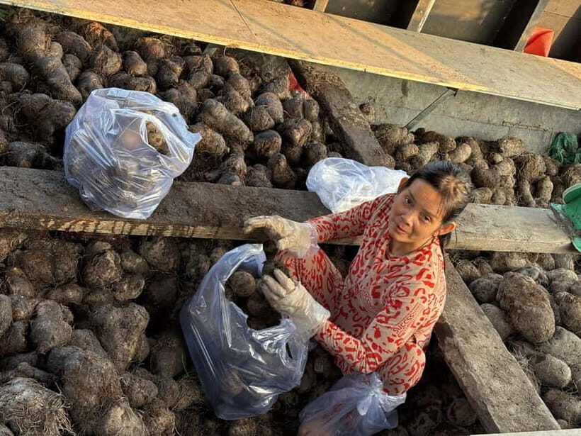Can Tho: Floating Market, Cacao & Canals with French Guide - Village walk in the countryside: homes, paths, and slower conversations