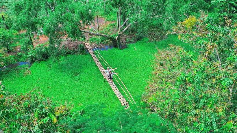 Can Tho: Floating Market & Lung Ngoc Hoang Nature Reserve - Lung Ngoc Hoang Nature Reserve: the quieter end of the day
