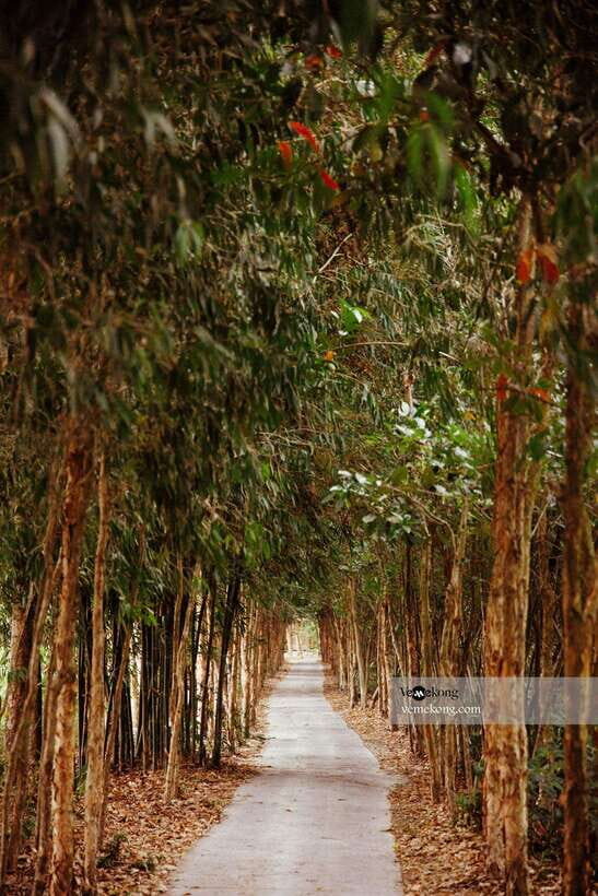Can Tho: Lung Ngoc Hoang Nature Reserve & Forest Tour - Why Lung Ngoc Hoang feels like a real Mekong break from Can Tho