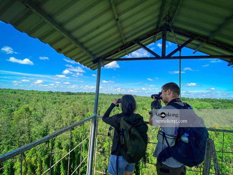 Can Tho: Lung Ngoc Hoang Nature Reserve & Forest Tour - Observation tower time: the best views come after the boat