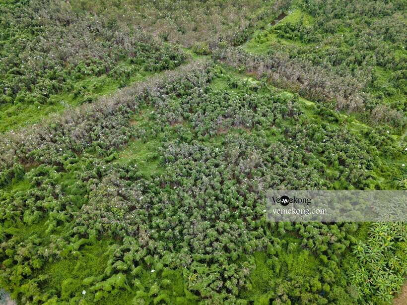 Can Tho: Lung Ngoc Hoang Nature Reserve & Forest Tour - Value and price: does $47 feel fair for what you get?