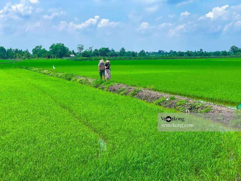 Can Tho: Lung Ngoc Hoang Nature Reserve & Forest Tour - What to bring (and what to do) for a smoother, more comfortable visit