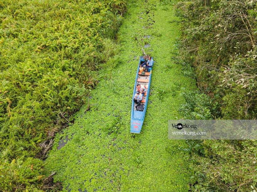 Can Tho: Lung Ngoc Hoang Nature Reserve & Forest Tour - Who should book this tour, and who might prefer something else