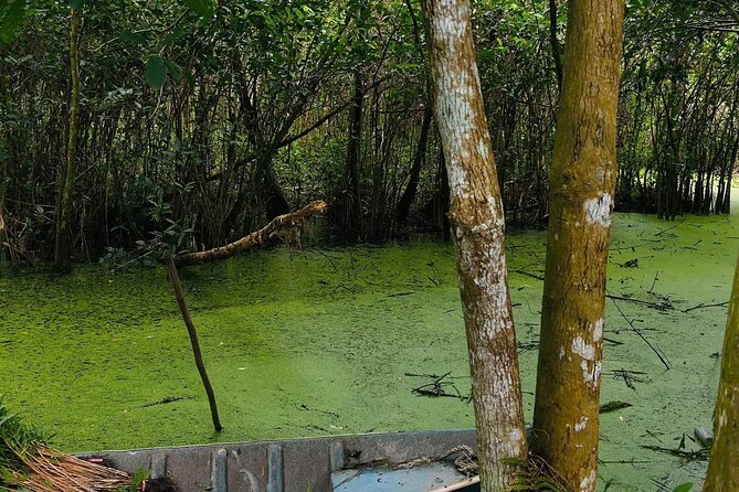 Can Tho: Lung Ngoc Hoang Nature Reserve & Hidden Forests - Price and value: why $40 can feel fair here