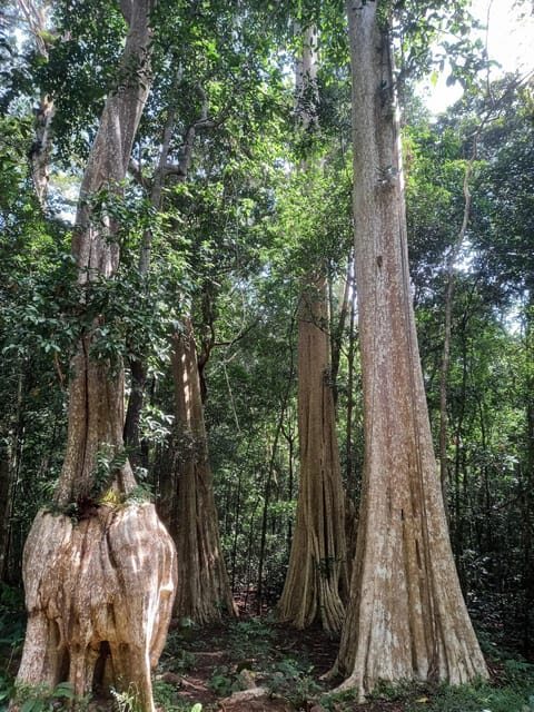 Cat Tien National Park with Crocodile Lake - Who this tour suits best (and who may want a different plan)