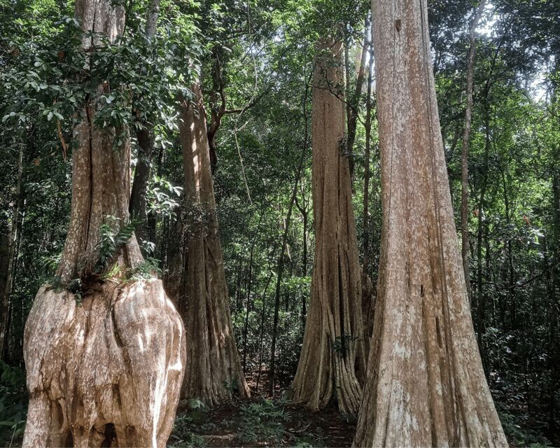 Cat Tien National Park with Crocodile Lake - What to pack and how to make the day smoother