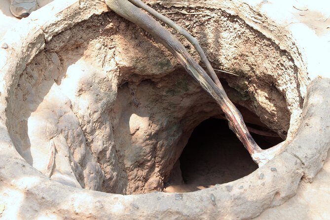 Cu Chi Tunnels and Mekong Delta Full Day Tour - Max 12 - What to Pack (and What to Do) for a Smooth Day