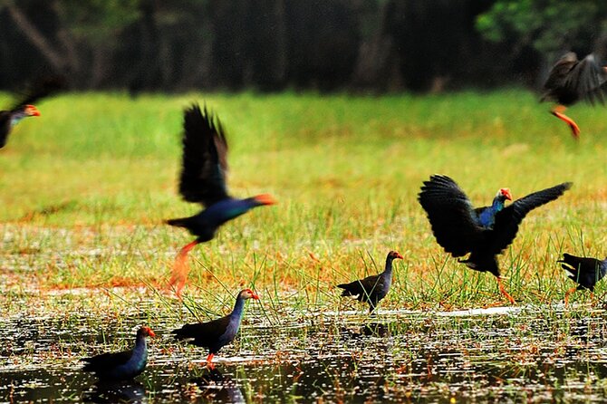 Discover Mua Xuan Nature Reserve - Practical Tips for a Smoother Mua Xuan Day