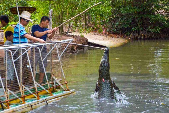 Explore Monkey Islands and Gio Mangrove Forest From Ho Chi Minh - Entering the Can Gio Mangrove Biosphere Reserve