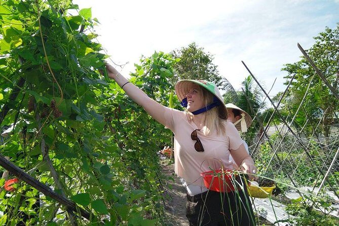 Explore Vietnamese Cuisine: Cooking Class from Ho Chi Minh City - Lunch you earned: Eating your work and noticing the flavor logic