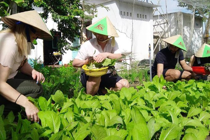Explore Vietnamese Cuisine: Cooking Class from Ho Chi Minh City - Logistics that keep the day smooth: Pickup, transport, and timing